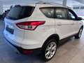Ford Kuga Titanium*Navi* Weiß - thumbnail 6