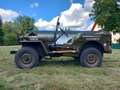 Jeep Willys - thumbnail 2
