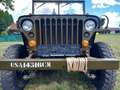 Jeep Willys - thumbnail 14