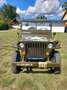 Jeep Willys - thumbnail 3