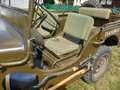 Jeep Willys - thumbnail 15