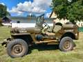 Jeep Willys - thumbnail 1