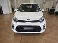 Kia Picanto 1.0 12V EcoGPL 5 porte Bianco - thumbnail 2