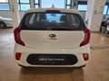 Kia Picanto 1.0 12V EcoGPL 5 porte Bianco - thumbnail 4