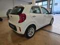 Kia Picanto 1.0 12V EcoGPL 5 porte Bianco - thumbnail 3