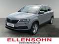 Skoda Karoq Karoq 1,6 TDI Ambition Grau - thumbnail 1