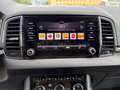 Skoda Karoq Karoq 1,6 TDI Ambition Grau - thumbnail 18