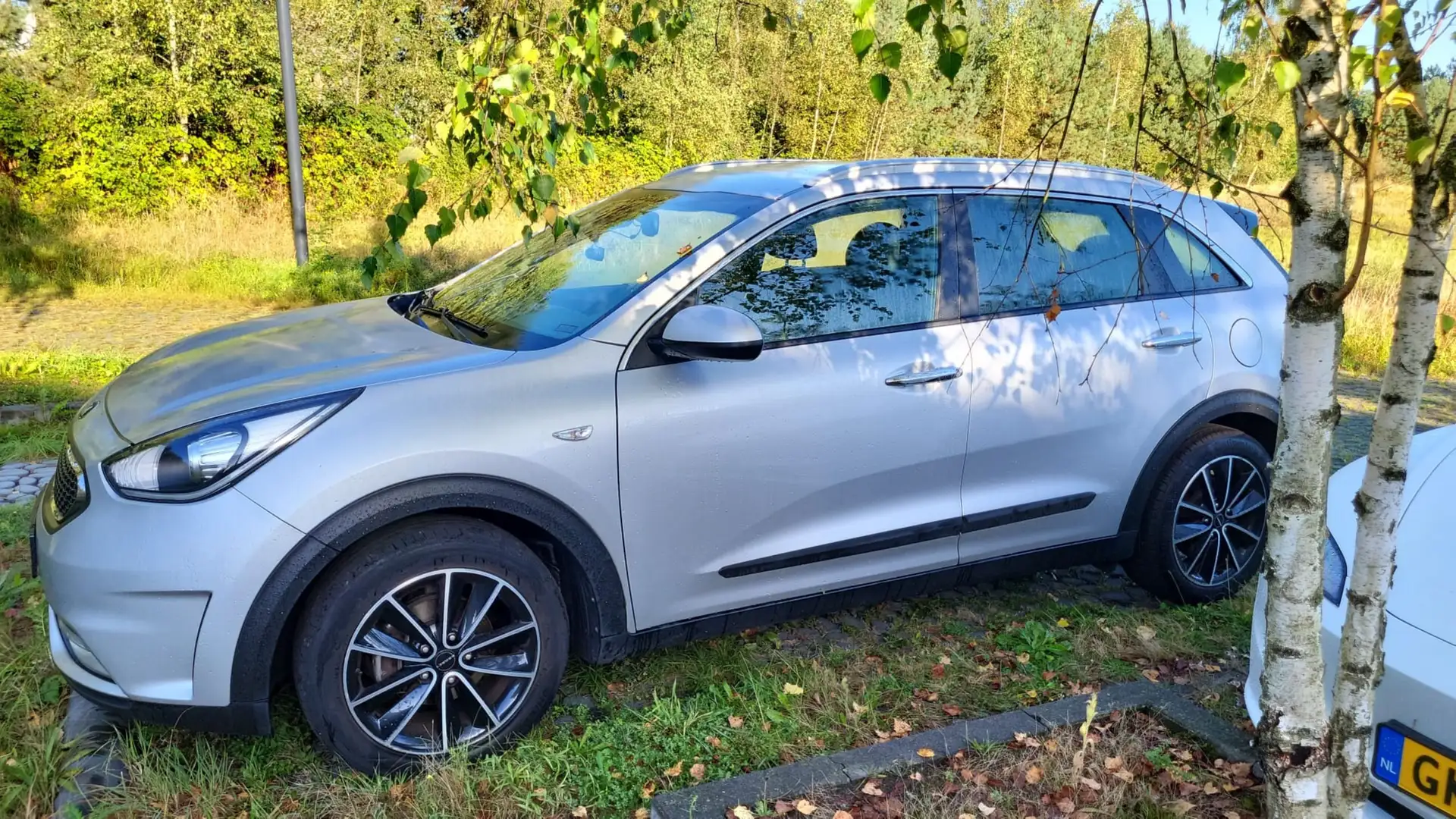 Kia Niro Niro 1.6 GDi H. DynamicL. Gris - 1