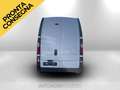 Renault Trafic van L2H2 T29 2.0 blue dci 150cv Bianco - thumbnail 6