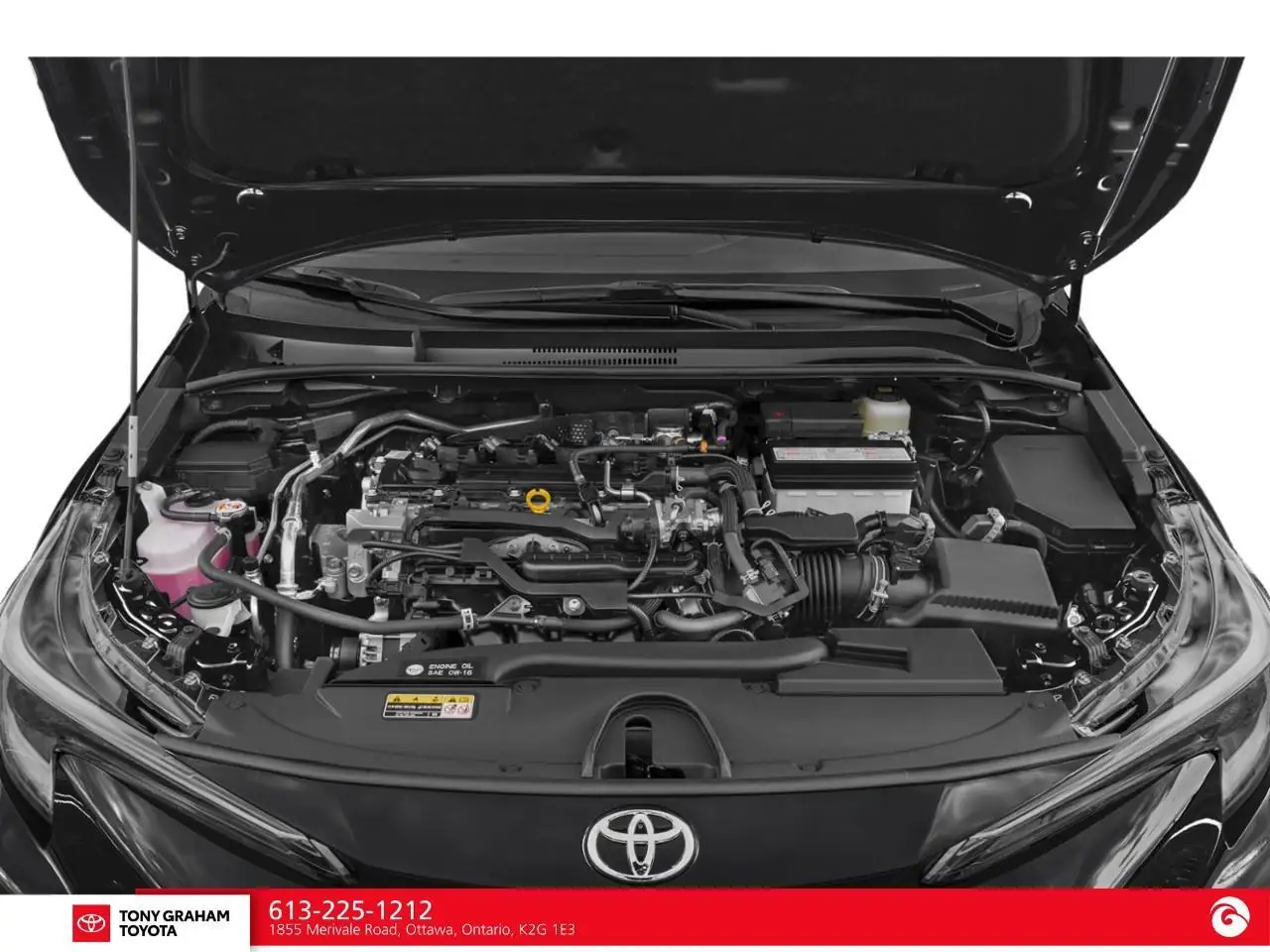 Toyota Corolla снимка Toyota Corolla