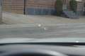 BMW 530 e iperformance Sport Line - VAT - Top condition Blanc - thumbnail 11