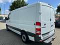Mercedes-Benz Sprinter Kasten 313CDI L2H1/AHK+STANDH+KLIMA+GRA Weiß - thumbnail 7