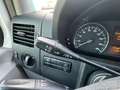 Mercedes-Benz Sprinter Kasten 313CDI L2H1/AHK+STANDH+KLIMA+GRA Weiß - thumbnail 13