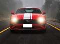 Ford Mustang Fastback 2.3 290CV ecoboost auto MY19 Rood - thumbnail 2