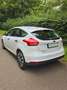 Ford Focus 1.0 EcoBoost 2015 Ambiente Weiß - thumbnail 6