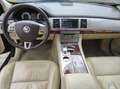 Jaguar XF XF 3.0 V6 Diesel S Premium Luxury Beige - thumbnail 8