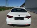 Alfa Romeo Giulia Super 2,0 200 AT RWD ID:112 Weiß - thumbnail 6