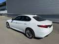 Alfa Romeo Giulia Super 2,0 200 AT RWD ID:112 Weiß - thumbnail 5