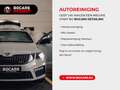 Audi RS Q3 2.5TFSI 400PK Quattro S tronic | RS-Exhaust | 21" Gris - thumbnail 32