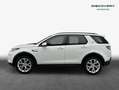 Land Rover Discovery Sport D165 R-Dynamic S Weiß - thumbnail 6