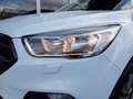 Ford Kuga 1,5 EcoBoost *PARKASSIST / SITZHEIZUNG / KLIMA* Bianco - thumbnail 12