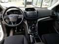 Ford Kuga 1,5 EcoBoost *PARKASSIST / SITZHEIZUNG / KLIMA* Bianco - thumbnail 3