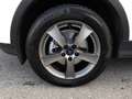 Ford Kuga 1,5 EcoBoost *PARKASSIST / SITZHEIZUNG / KLIMA* Bianco - thumbnail 13