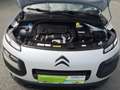 Citroen C4 Cactus 1,6 BHDI Shine Weiß - thumbnail 20
