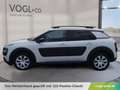 Citroen C4 Cactus 1,6 BHDI Shine Weiß - thumbnail 2