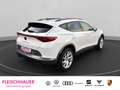 CUPRA Formentor 1.5 TSIF ele.Heckklappe Voll-LED Kessy Weiß - thumbnail 6