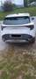Kia Sportage 1.6TGDi SILBER Weiß - thumbnail 5