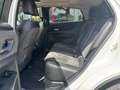 Nissan Ariya Evolve 87 kWh | 20"LM VELGEN | TWO-TONE LAK | DEMO Bianco - thumbnail 10