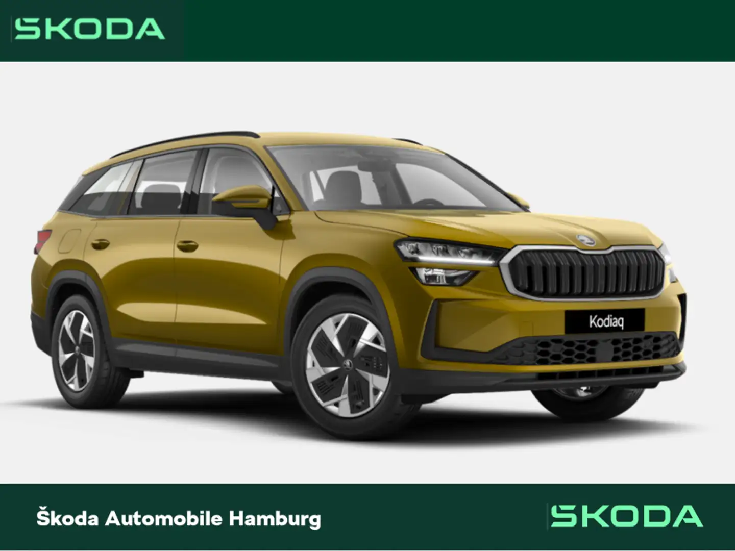 Skoda Kodiaq Selection 1,5 TSI mHEV 110 kW 7-Gang-DSG Blau - 1