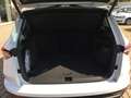 Skoda Karoq 1.5TSI DSG Selection Matrix AHK Navi SHZ Rear View Weiß - thumbnail 19