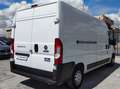 Fiat Ducato LH2 2.3MJ FURGONE PASSO LUNGO TETTO ALTO 3PTI-2020 Weiß - thumbnail 3