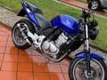 Honda CBF 500 3888163194 Niebieski - thumbnail 2