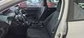 Peugeot 308 1.5BlueHDi S&S Business Line 100 Blanco - thumbnail 5
