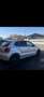 Volkswagen Polo 1.6 TDI 90 CR FAP Sportline - thumbnail 1