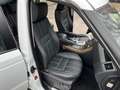 Land Rover Range Rover Sport 3.0 HSE 249CV RESTYLING 8 MARCE ! BELLISSIMA ! bijela - thumbnail 13