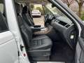 Land Rover Range Rover Sport 3.0 HSE 249CV RESTYLING 8 MARCE ! BELLISSIMA ! Blanc - thumbnail 12