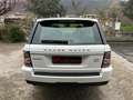 Land Rover Range Rover Sport 3.0 HSE 249CV RESTYLING 8 MARCE ! BELLISSIMA ! Blanc - thumbnail 6