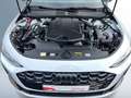 Audi A5 2.0 TFSI edition one S line Tech Plus A Weiß - thumbnail 19