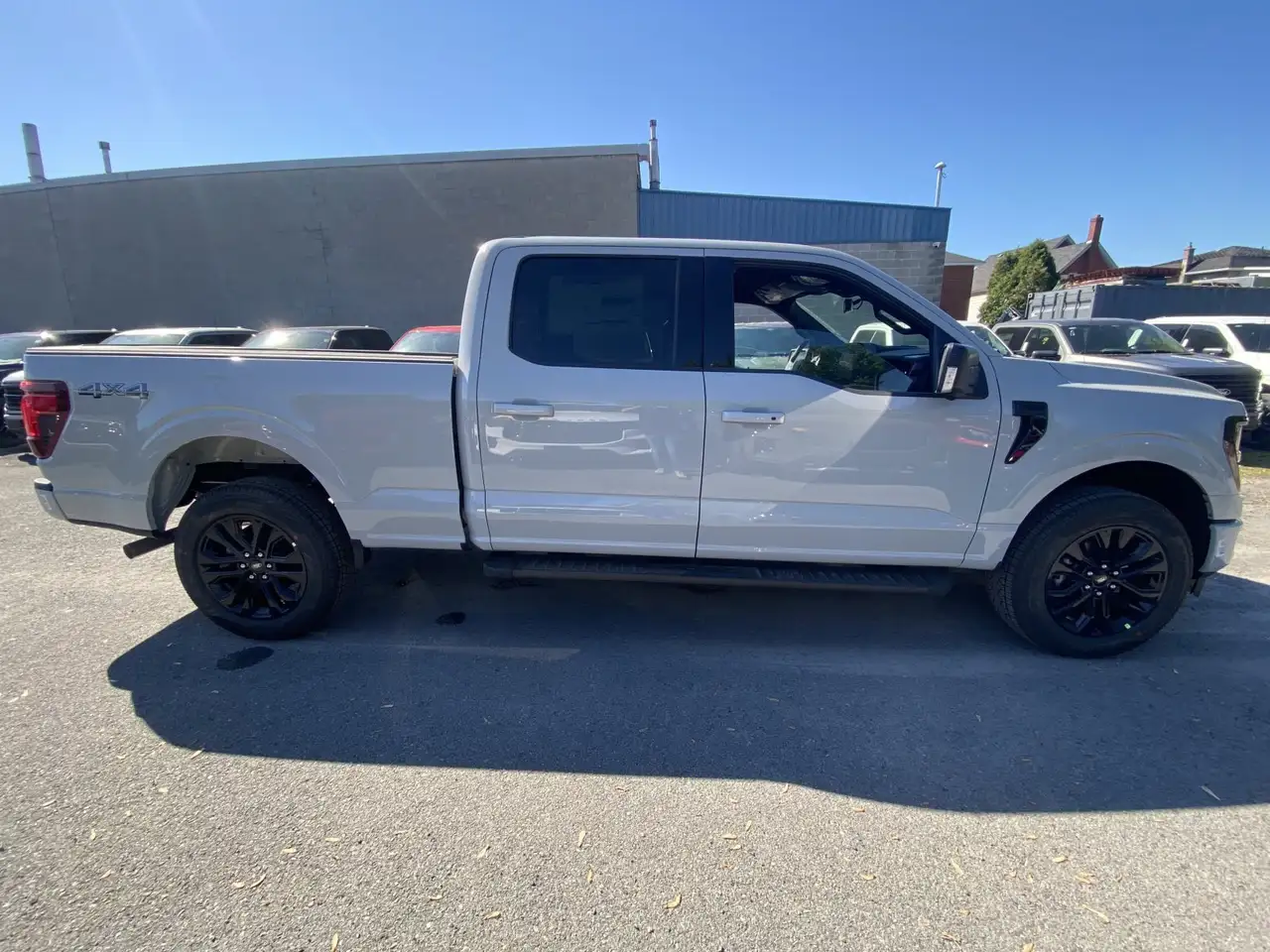 Ford F 150 fotografie Ford F 150