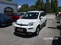 Fiat Panda Panda 1.3 mjt 16v 4x4 75cv E5+ Blanc - thumbnail 3