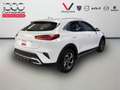 Kia XCeed 1.0 T-GDi Business Blanco - thumbnail 5