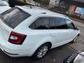 Skoda Octavia Leder Autom. LED AHK Navi Sihzg. Blanc - thumbnail 6