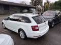 Skoda Octavia Leder Autom. LED AHK Navi Sihzg. Blanc - thumbnail 4