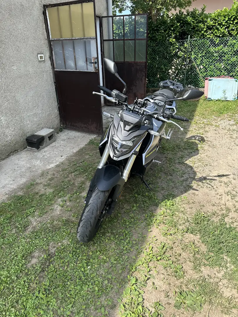 Honda Hornet Grigio - 2