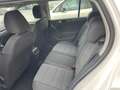Volkswagen Golf Golf VI  5p 1.6 tdi Comfortline Weiß - thumbnail 8