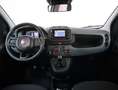 Fiat Panda 1.0 FireFly S&S Hybrid *PROMO PARISI GROUP* Blu/Azzurro - thumbnail 13